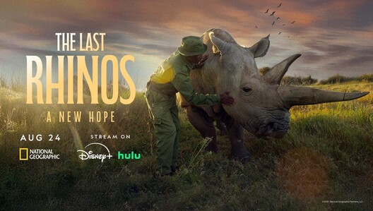 "The Last Rhinos: A New Hope" premieres Aug. 24 at 8/7c on National Geographic and streams next day on Disney+ and Hulu.
