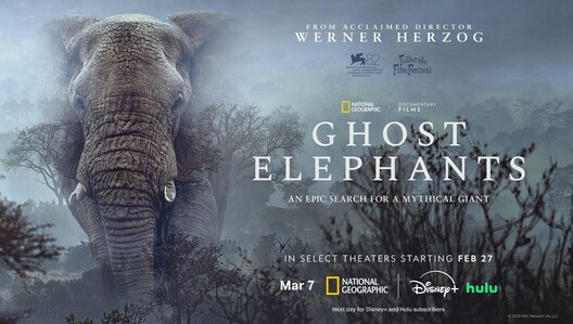 "Ghost Elephants" premieres on National Geographic Saturday, March 7