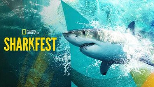SHARKFEST 2026 kicks off Sunday, July 5 on National Geographic. Stream on Disney+ & Hulu.