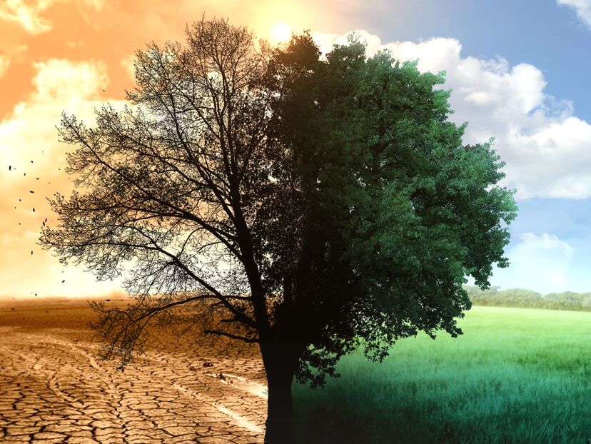 Our America: Climate of Hope