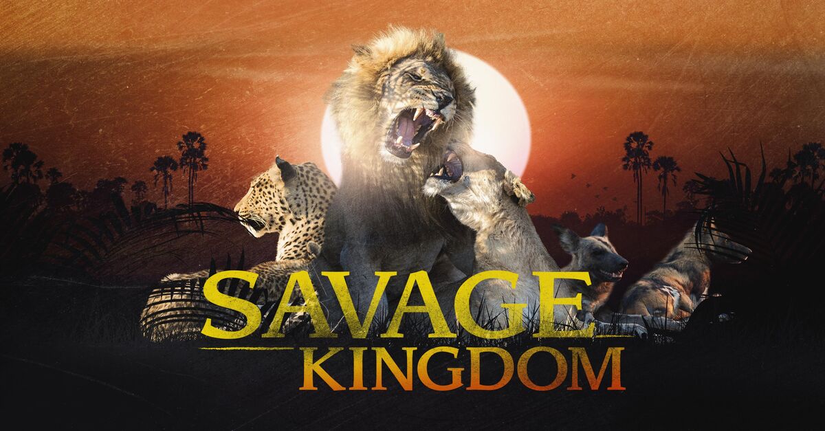 Free Free King Savage Youtube 794 SVG PNG EPS DXF File