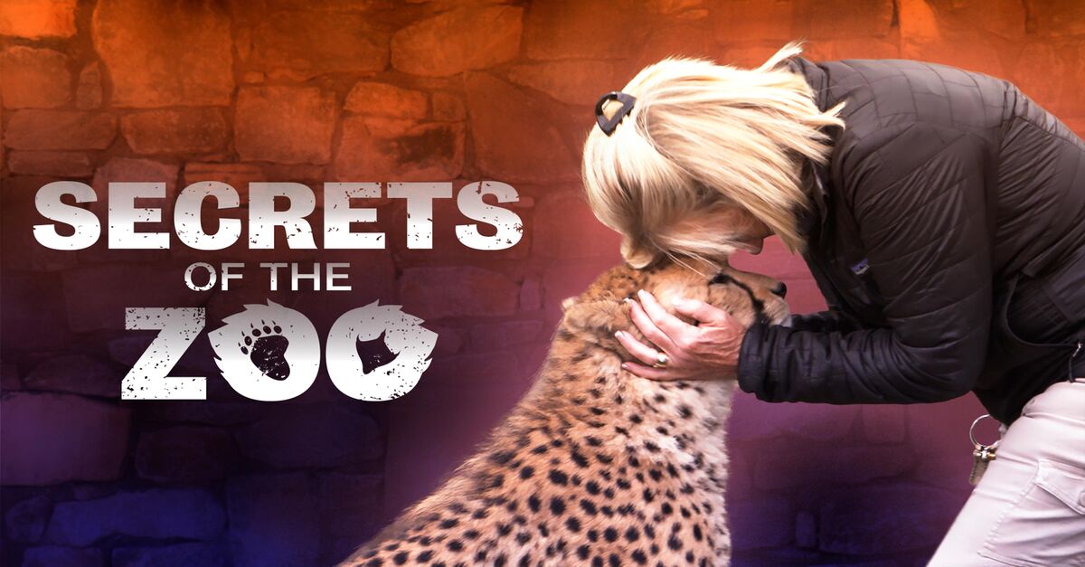 Watch Secrets of the Zoo TV Show - Streaming Online | Nat Geo TV