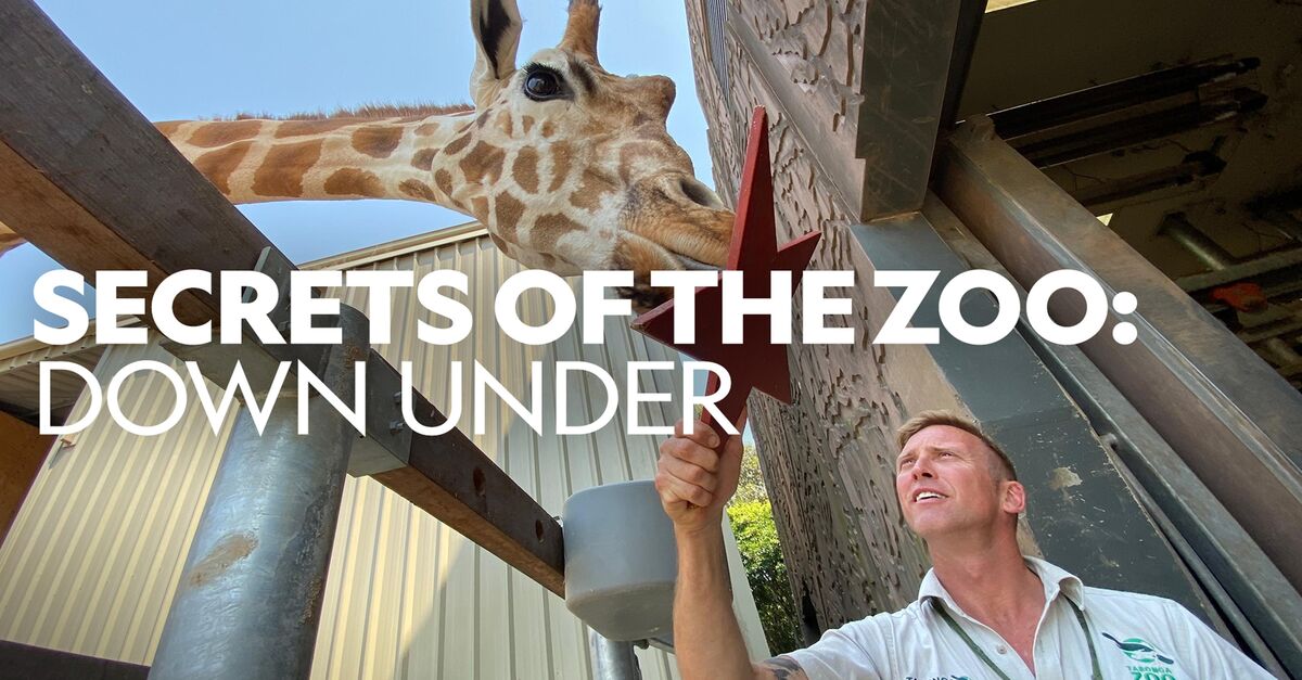 About Secrets of the Zoo Down Under TV Show Series