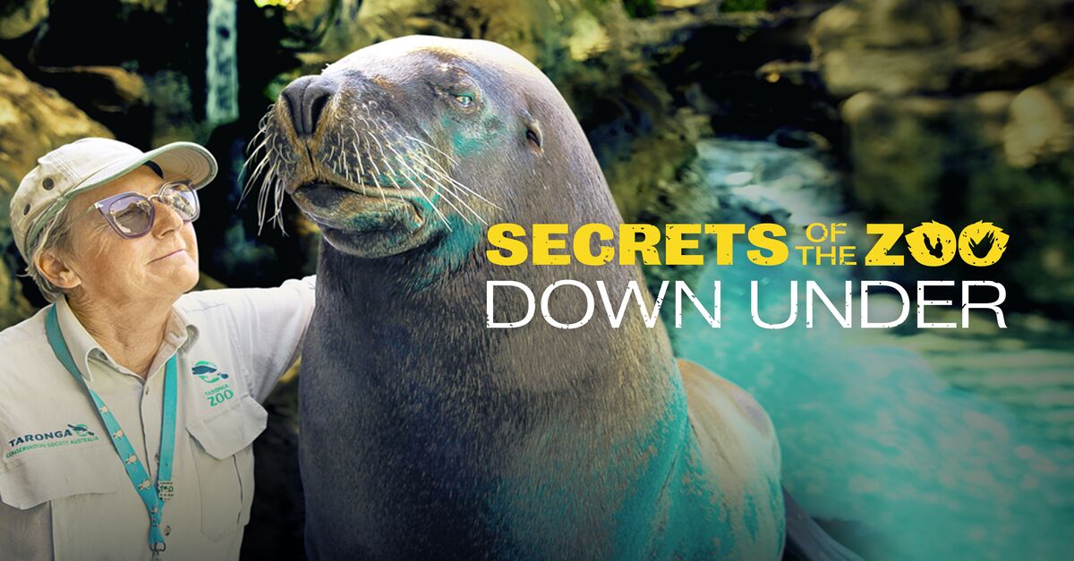 About Secrets Of The Zoo: Down Under Tv Show Series