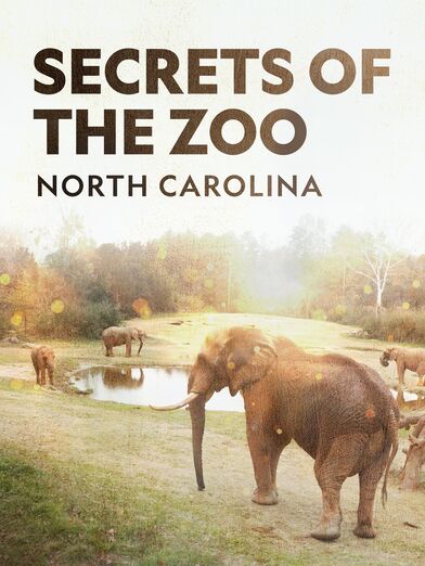 About Secrets Of The Zoo North Carolina Tv Show Series