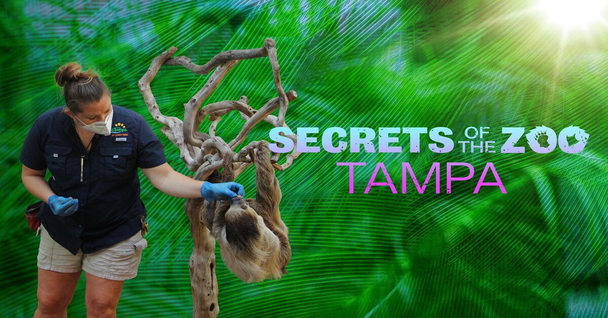 Watch Secrets of the Zoo Tampa TV Show Streaming Online Nat Geo TV