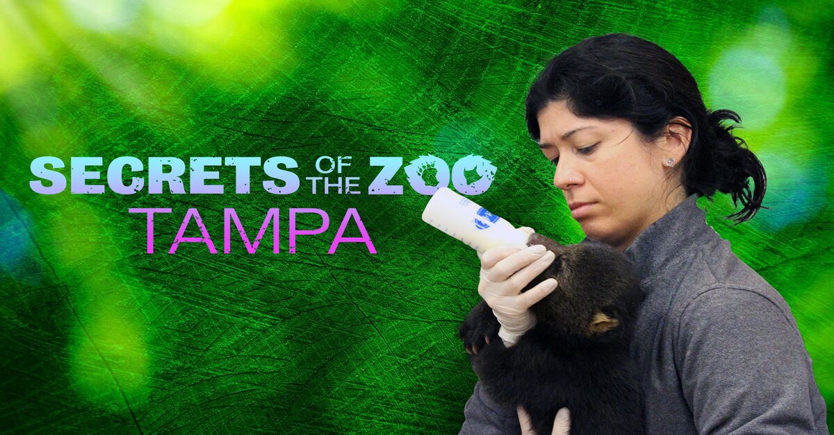 Watch Secrets of the Zoo: Tampa TV Show - Streaming Online | Nat Geo TV