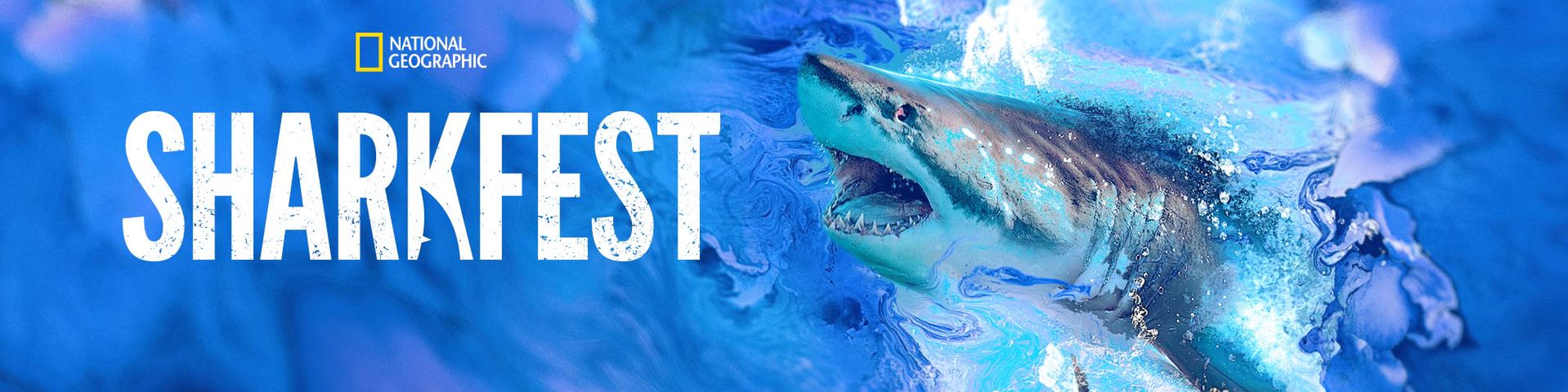 SharkFest' Schedule 2022 Includes Nat Geo, ABC, ESPN and Hulu