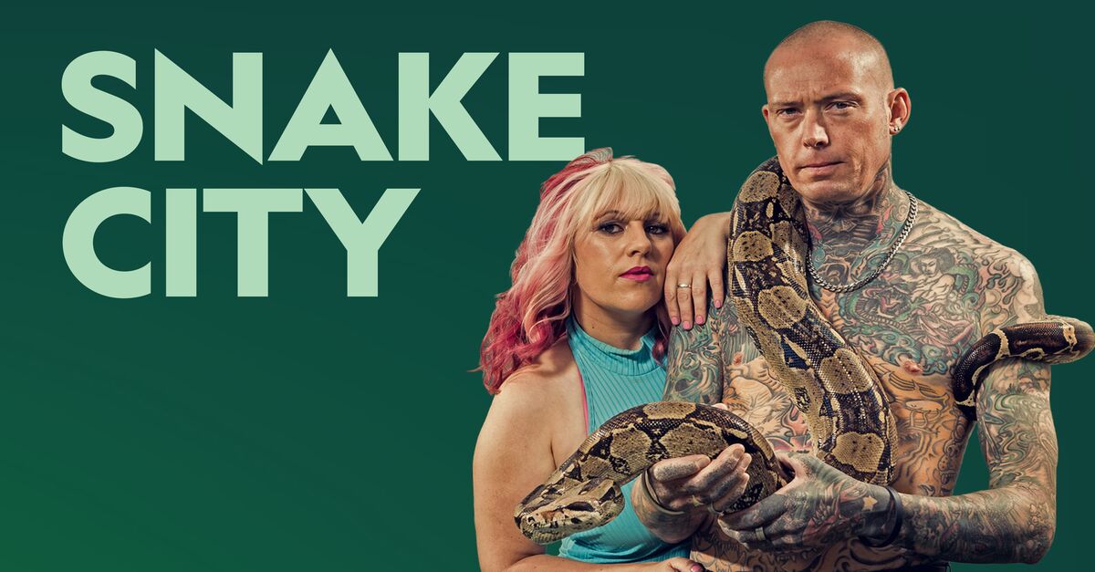 Watch Snake City TV Show - Streaming Online | Nat Geo TV