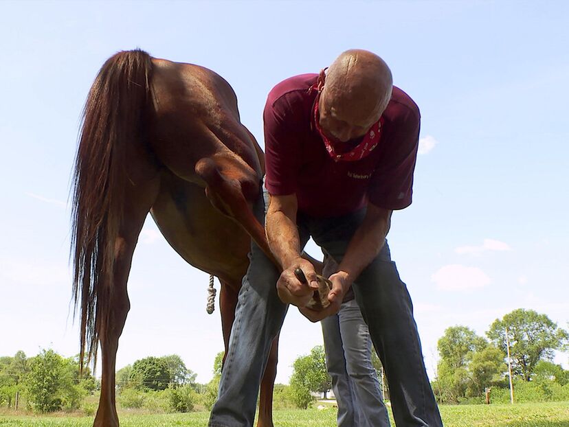 The Incredible Dr. Pol