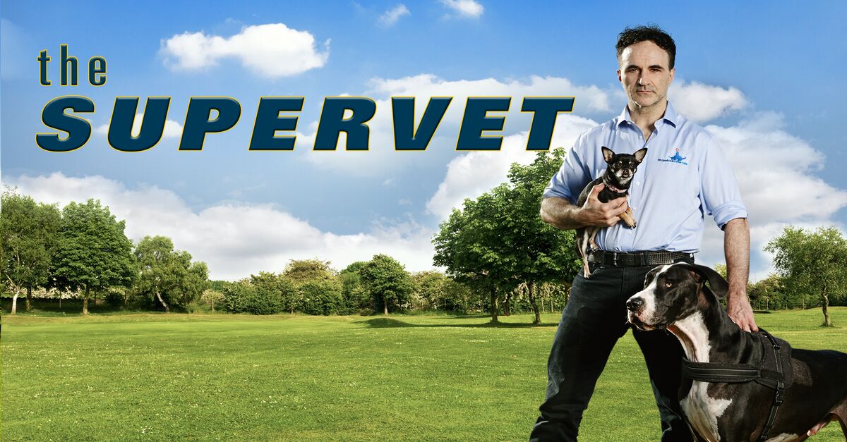 Watch The Supervet TV Show - Streaming Online | Nat Geo TV