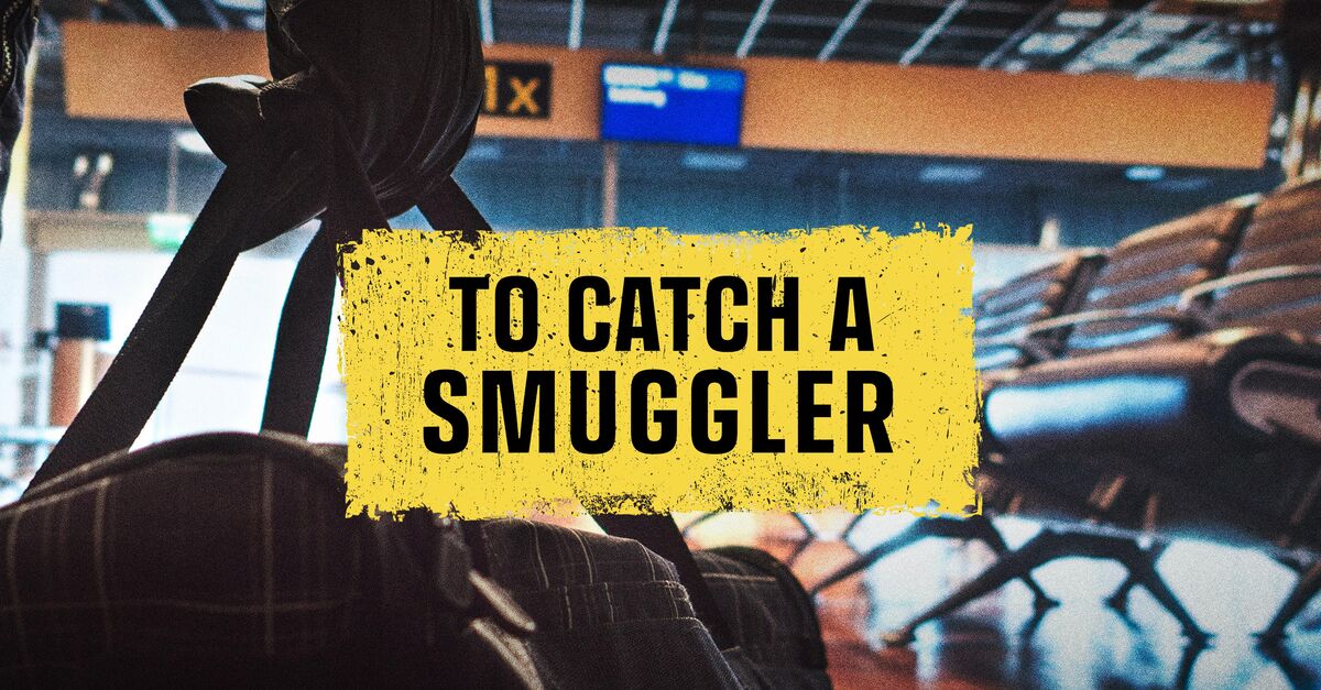 Watch To Catch a Smuggler TV Show Streaming Online Nat Geo TV