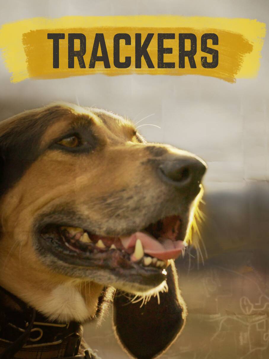 whisper dog tracker