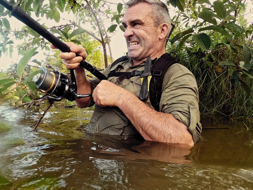 Wild Fish