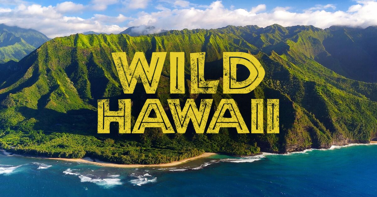 Wild Hawaii Full Episodes | Watch Online