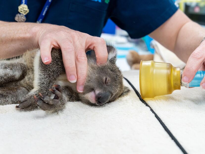 Emerald Club Sign In visual data 5