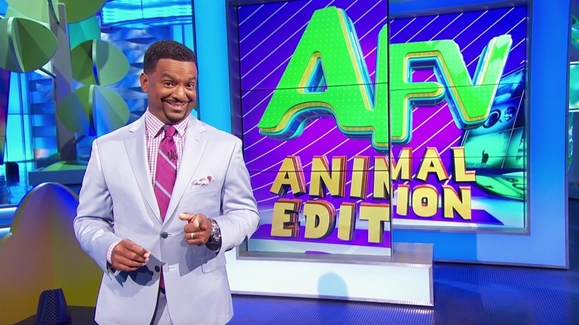 America's funniest 2024 animal videos