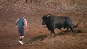 Watch Animals Gone Wild Season 2 Episode 4 Showdown Online