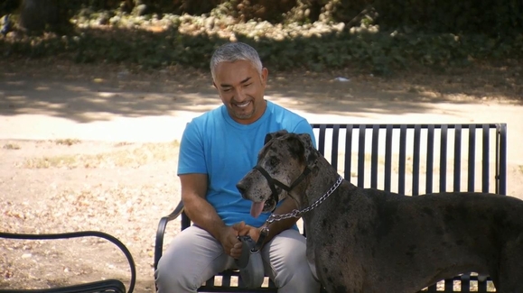 Cesar 911 full outlet episodes