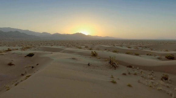 Iran's Wild Side