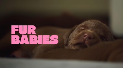 Fur Babies