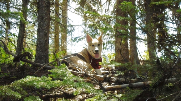 Lumps, Bumps, and Love