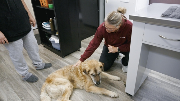 See You Later, I Love You