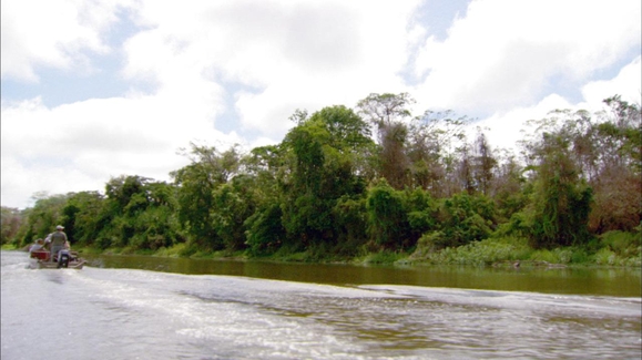 The World Inside the Amazon