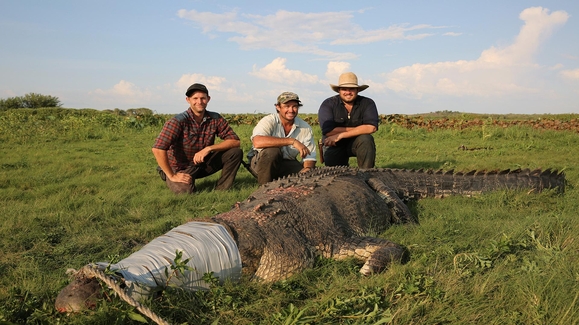 Justering Billy ged ornament Watch Monster Croc Wrangler TV Show - Streaming Online | Nat Geo TV