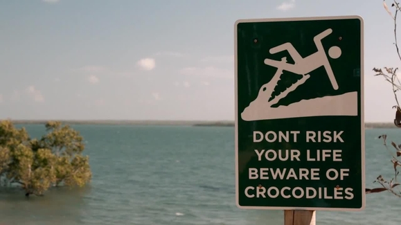 Calamity Croc