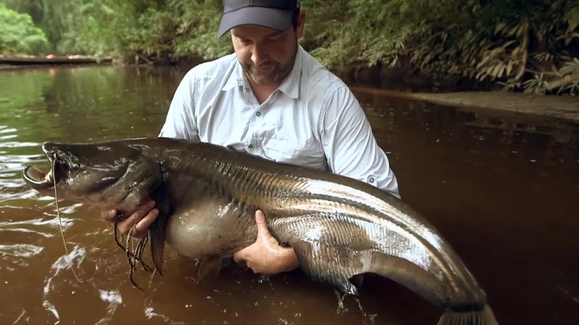 Watch Monster Fish Season 4 Episode 5 Jungle Jaws Online