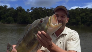 Watch UNREAL MONSTER FISH in a CREEK! (STRANGE) Video on