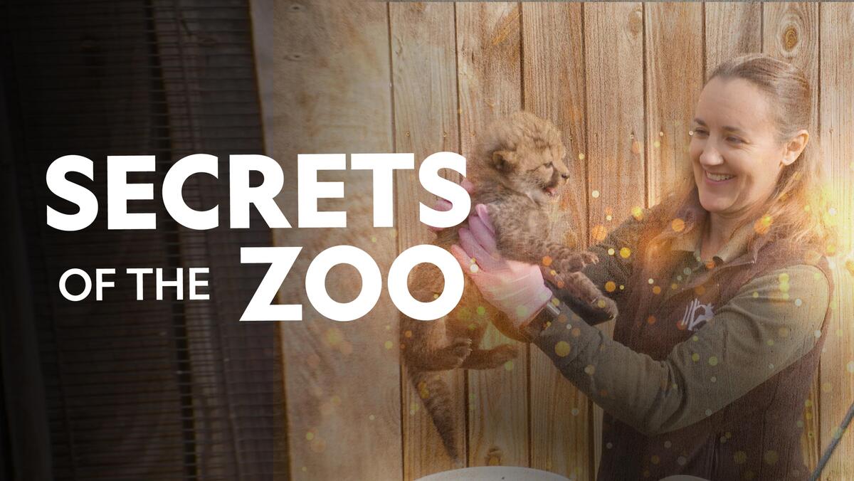 Watch Secrets Of The Zoo Tv Show Streaming Online Nat Geo Tv