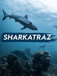 Sharkatraz