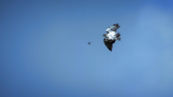 Super Speed