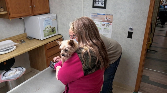 Flock Around the Clock