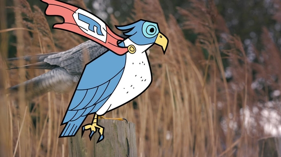 Hawks, Eagles, Owls… Whoa!