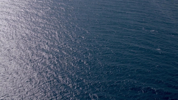 Sea of Giants