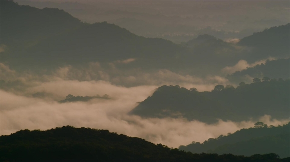 Monkey in the Clouds